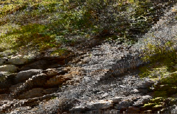 Rifugio Campel - Photo 12