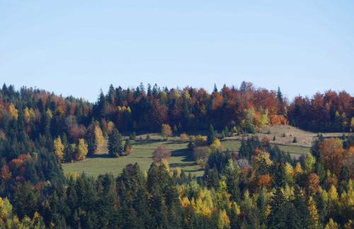 Apartamenty przy Hotelu Żywieckim - Foto 33