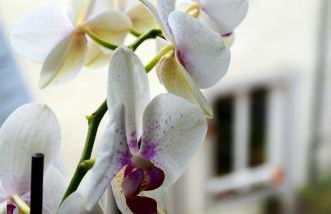 Lehmgefühl, Design Vier, La Petite Maison - Foto 68