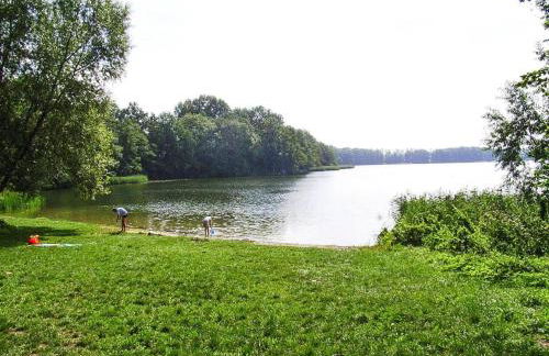 Ferienhaus am Dümmer See, Perlin - Foto 22