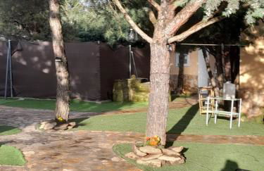 La cabaña de Paredes - Photo 31