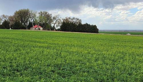 Behm's Farm - Foto 3