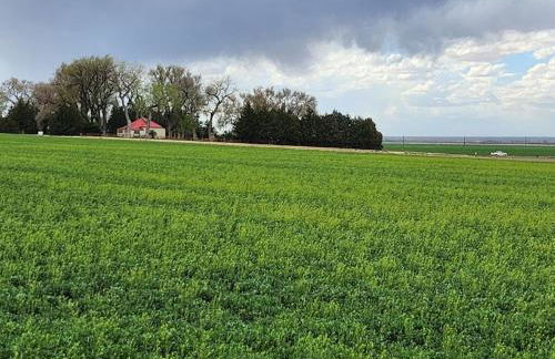 Behm's Farm - Foto 3