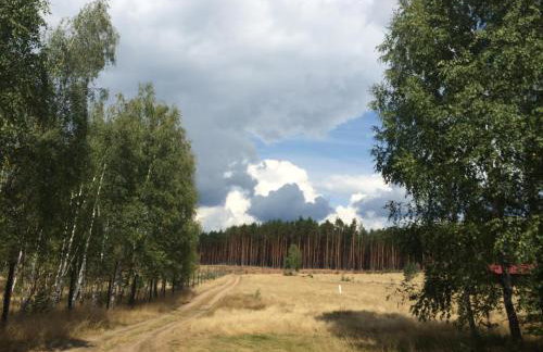 Dom Mossa - Photo 50