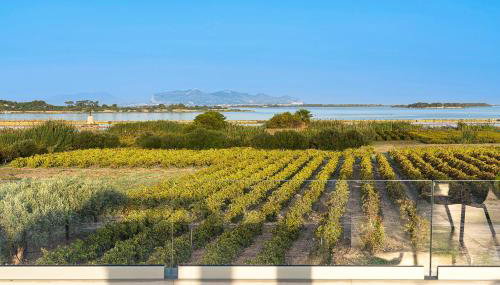 Martina's Vineyard - villa - Foto 2, Garden view