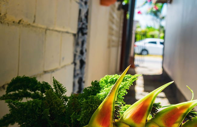 Colonial Wolf Oasis - Foto 68