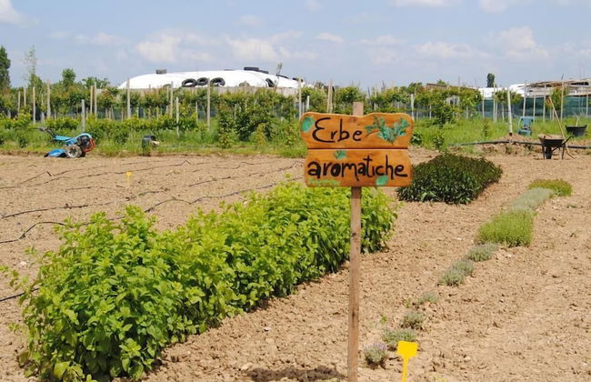 Cascina Bosco Gerolo - Photo 24