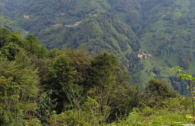 Kamelya Dag Evleri - Foto 21