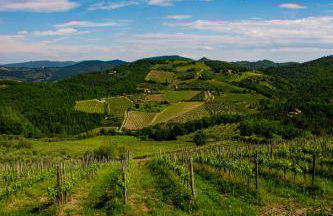 Chiantissima, Tuscany - Foto 47