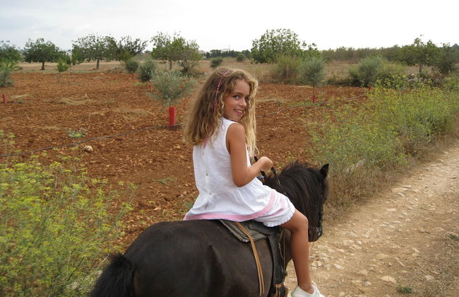 Finca Sa Cova Vella - Photo 47