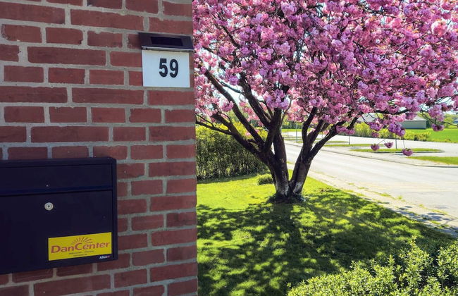 8 Person Holiday Home in Oster Assels - Foto 29