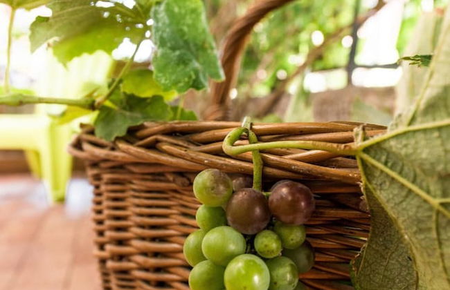 La Casa di Sara a Mondello by Wonderful Italy - Foto 5