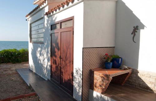 Sargantana Blava - Foto 47