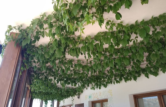 Algaba de Ronda - Foto 76