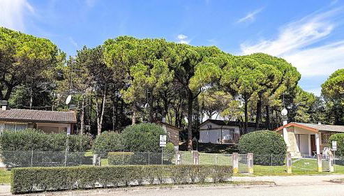 Villaggio Laura - Foto 2, Garden view