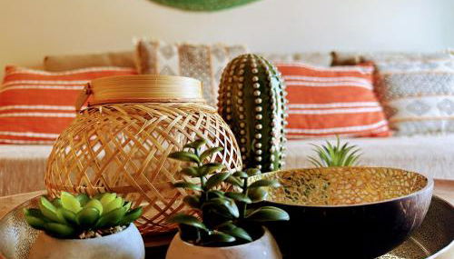 The Cactus Project - Foto 2