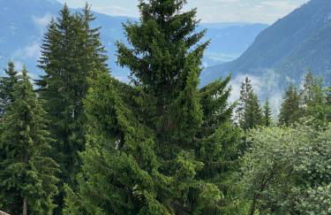 IL NIDO - Residence Sun Valley - Photo 5