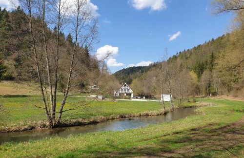 Panorama Ferienwohnungen Thiem - Foto 21