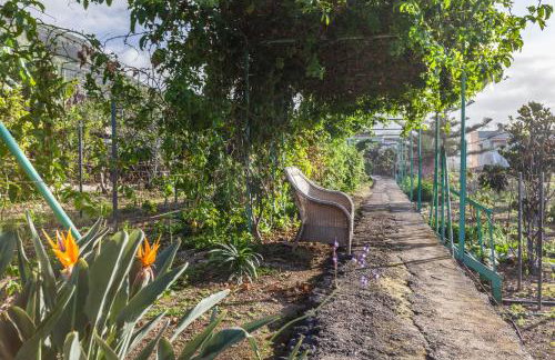 Casa Victor - Apartment Antonio - Foto 21