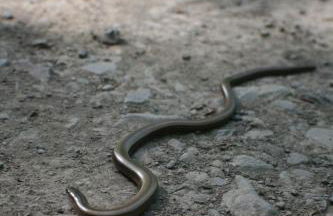 Wohnen im alten Kornspeicher - Foto 31