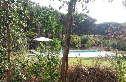 Casa Rio da Prata - Foto 17