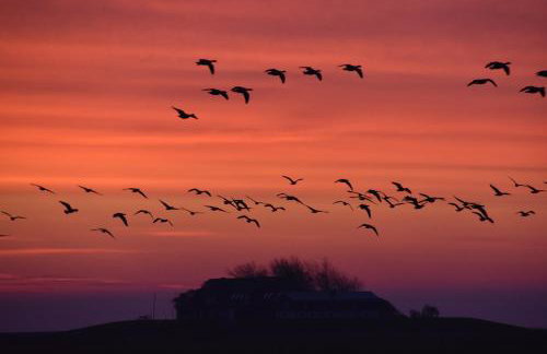Friesenblau im Haus Schladenhaufen - Foto 18