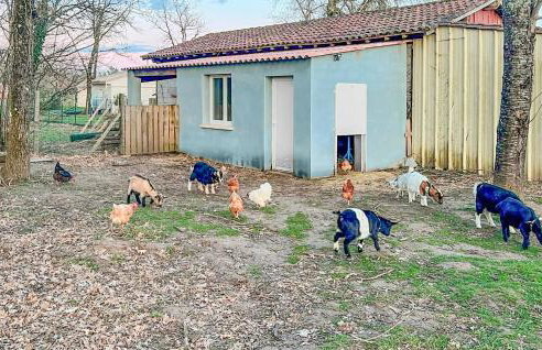 Lovely Home In Eyraud-Crempse-Maurens - Foto 20