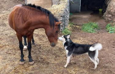 Finca rural House Tenerife Relax And Enjoy - Foto 44