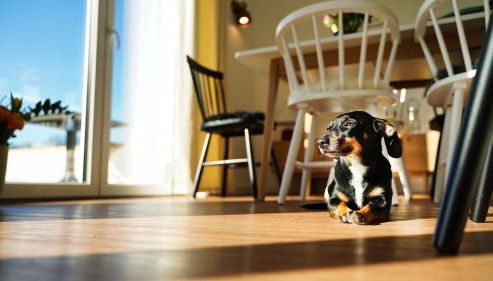 Ferienhaus Zur Oie - Foto 3