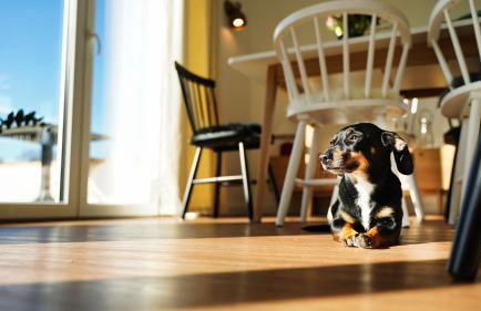 Ferienhaus Zur Oie - Foto 3