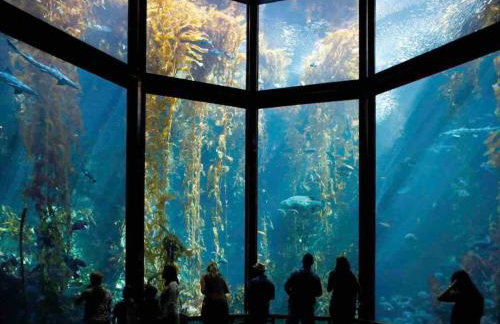 Monterey Bay Escape - Foto 40