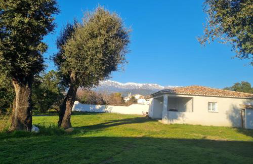 Location "Casa Monna" - Foto 2