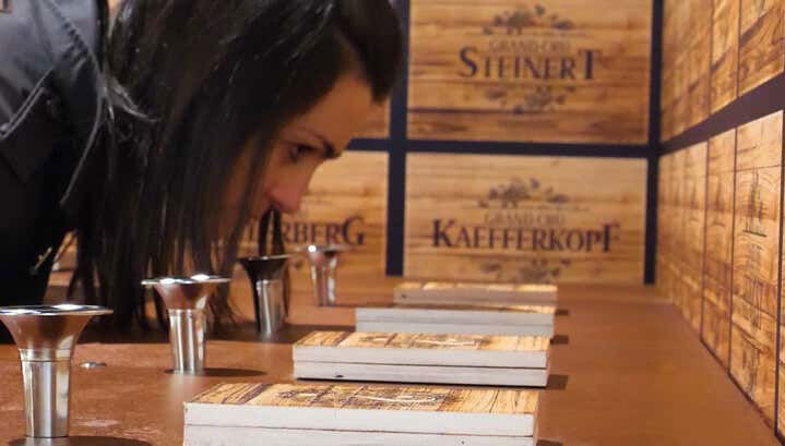 Alsace Wine Museum Tickets - Foto 1