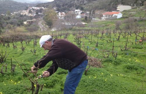 Meronas Eco House - Foto 30