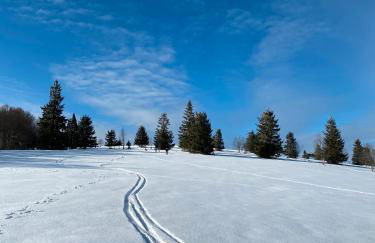 Hochburger 21 - Foto 18