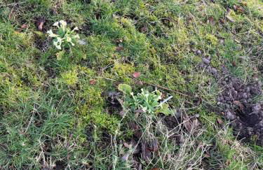 The Stables - Luxury Cottage - Foto 54