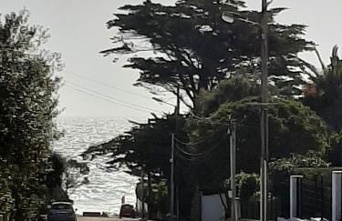 Le Méditerranéo - Foto 19