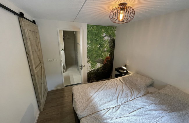 Chalet in Lochem Near Forest & Cycling - Foto 9