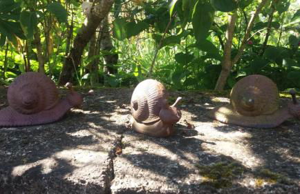 La Closerie de la Trottinière - Foto 25