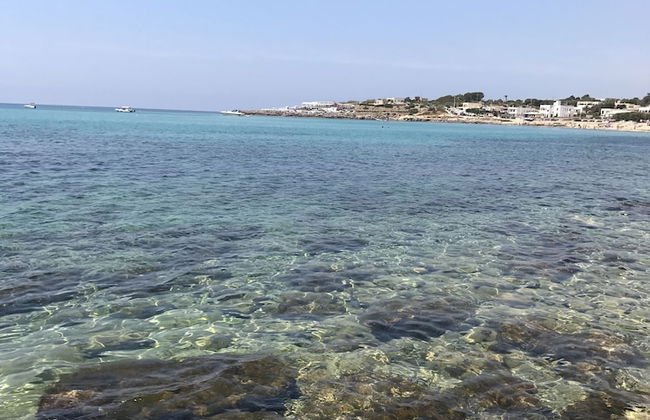 Estate Salento - Foto 60