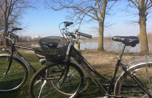 La Finestra sul Po - Agriturismo - Foto 79