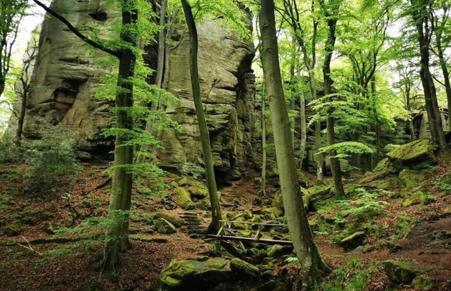 Lovely Apartment in Bollendorf near South Eifel Nature Park - Photo 34