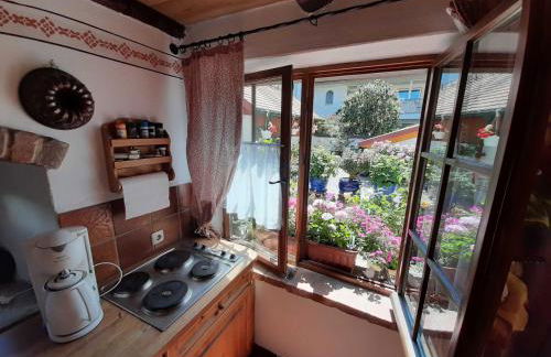 Ferienhäuschen Rosi Brehm - Foto 6