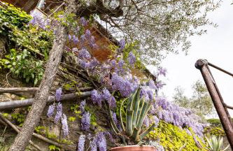 Il Nido a Portovenere - Foto 71
