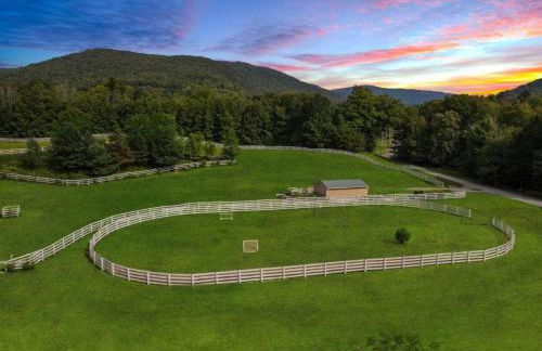 Fantastic Secluded Rental for a Large Group Getaway near East Branch, New York - Photo 52