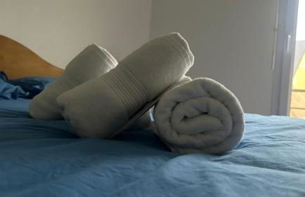 DOMAINE DU YEARLING - Photo 20