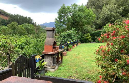 Apartamento Rustico El Cerezo - Photo 33