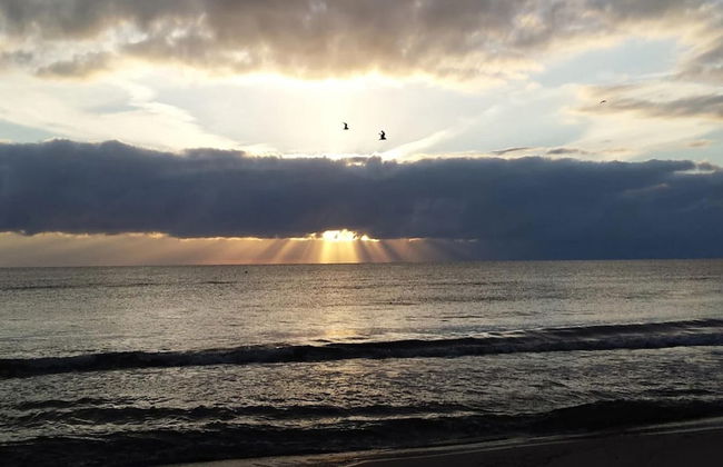 Appartementhaus in Trassenheide - Foto 23