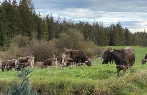 Die Schorenmoos-Lodge - Foto 21