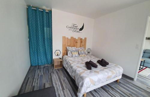 un petit coin de paradis1proche beauval&chateaux - Foto 15